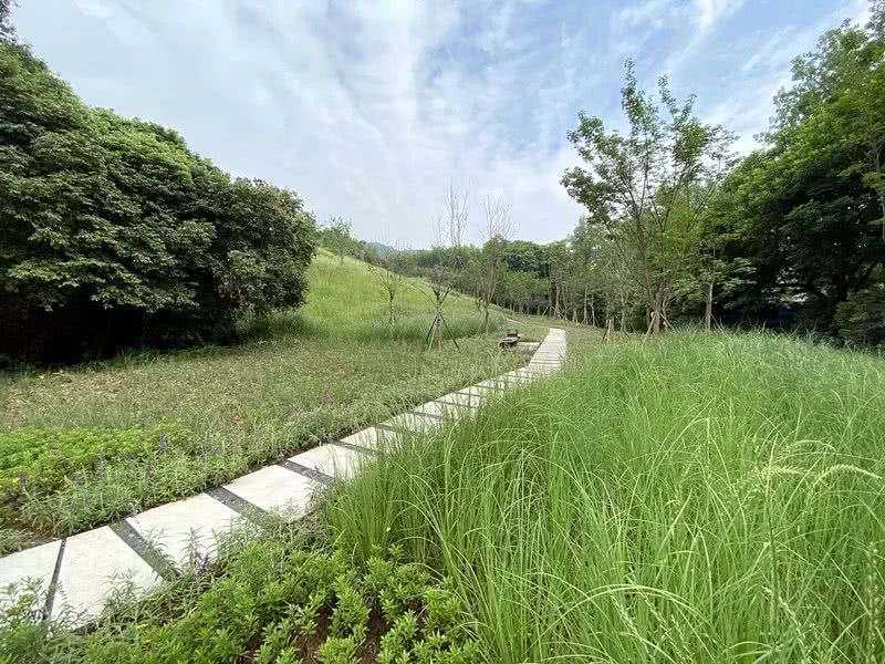 環境監測站節省成本、提**率