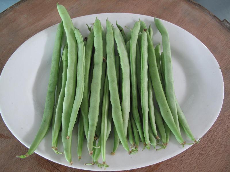 農(nóng)藥殘留檢測(cè)儀，檢測(cè)四季豆農(nóng)藥殘留含量